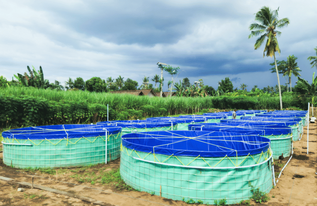 RAINWATER HARVESTING